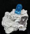 Vibrant Blue Cavansite Crystals on Stilbite - India #33693-3